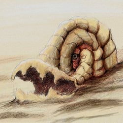 File:Colsor.jpg