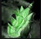 File:Bloodslave Vial.jpg