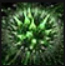 File:Ravager Carapace.jpg